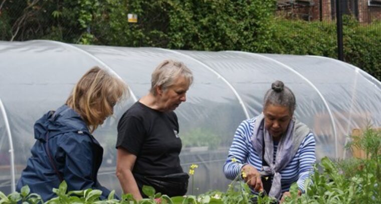 Greening your asset and beyond